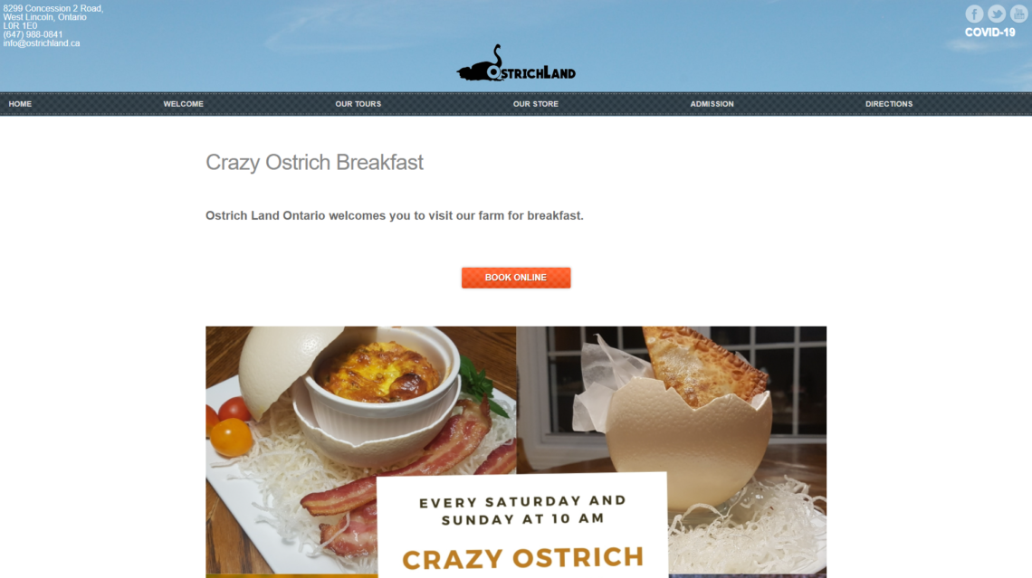 ostrichlandontario_page3