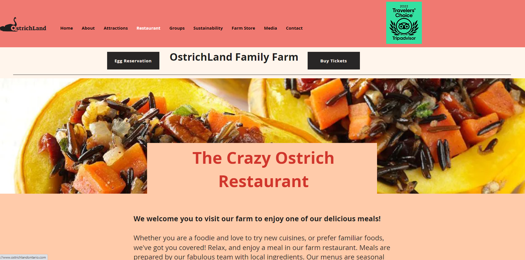 ostrichlandontario_v2_5