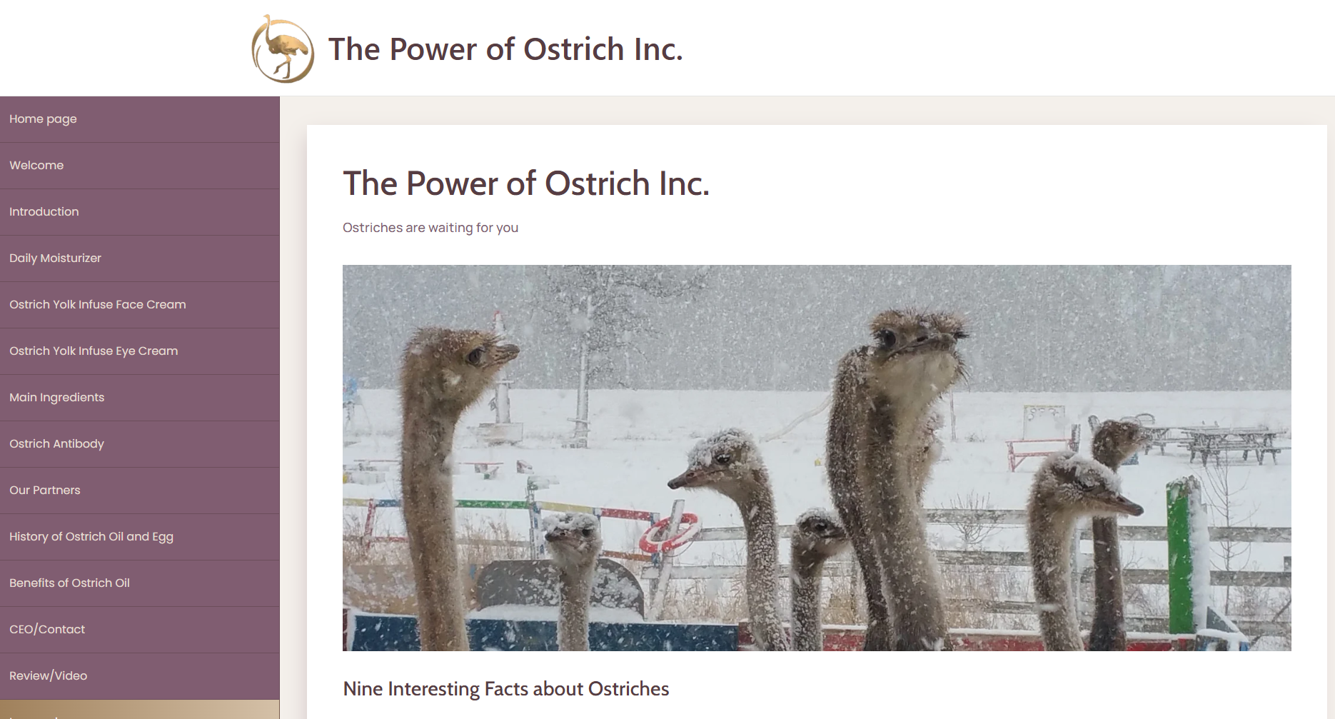 The Power Of Ostrich